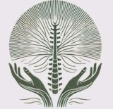 Ostéopathe & Drainage Lymphatique Rakotomanga Tsiresy